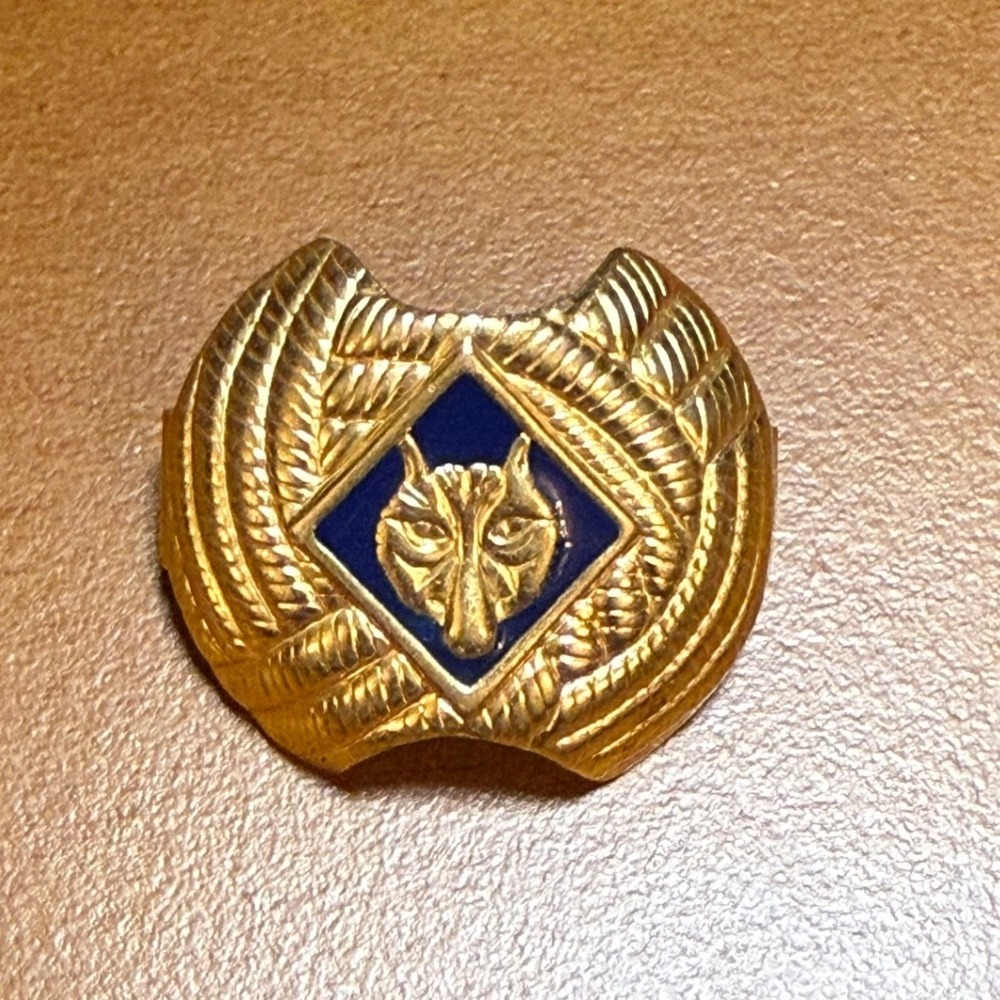Vintage Boy Scouts of America Cub Scout Wolf Neckerchief Slide Gold Tone Blue